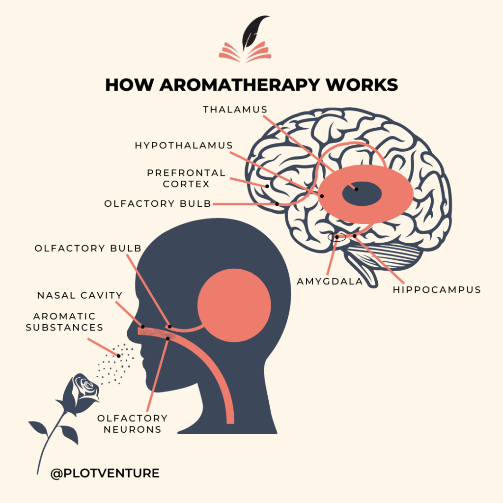 infographic how aromatherapy relieves anxiety